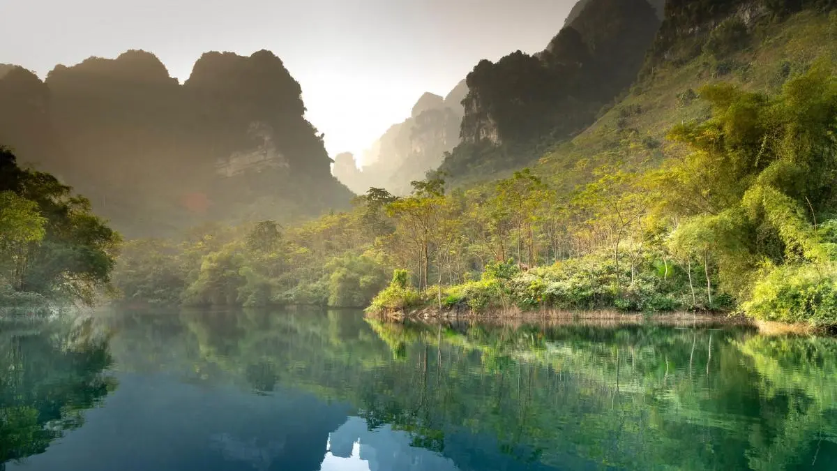 精密精密高端